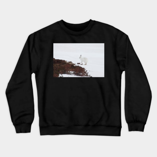 Mountain hare Crewneck Sweatshirt by orcadia